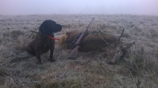 Juna zo Starej Hajnice