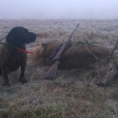 Juna zo Starej Hajnice