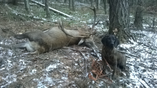 Ira Hanzeľov dvor (10 mesiacov)