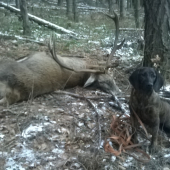 Ira Hanzeľov dvor (10 mesiacov)