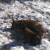 Juna zo Starej Hajnice