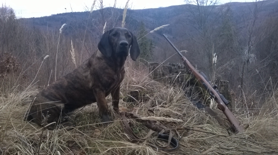 Ira Hanzeľov dvor (1 rok)