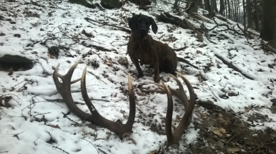 Nepravidelný 14-torák