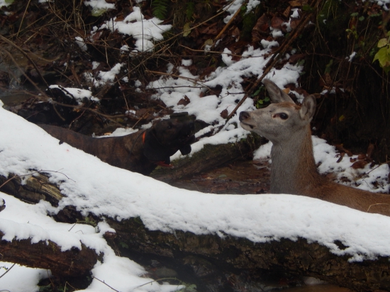 Ira a koncovka na potoku...