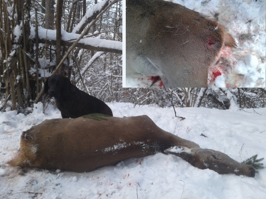 Na toto som tu ja...