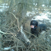 Dalsia s uspesnym koncom...