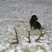 po tyzdni sa opät postastilo