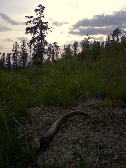 ..stastie a nahoda..