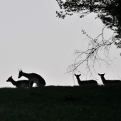co sa za mlada naucis...