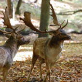 posledny pohlad na supera