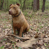 moja pomocnicka a jej ulovok