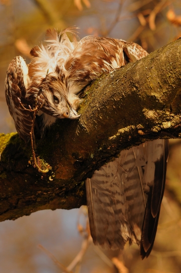 aj takto to obcas konci...