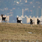 na hranici dvoch svetov