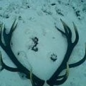 po siedmych rokoch spolu...