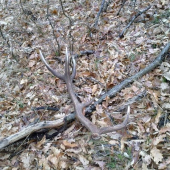 ten istý z druhej strany