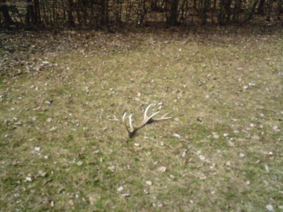 Dnes, cca 500 metrov od domu