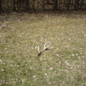 Dnes, cca 500 metrov od domu