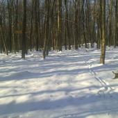 dnešná prechádzka-prvý pohľad