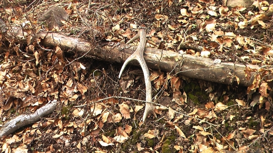 tak toto je moj narodeninový :)