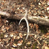 tak toto je moj narodeninový :)