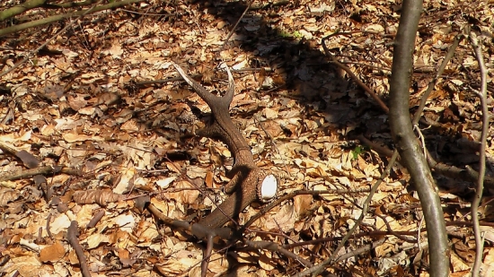 druhý narodeninový :)