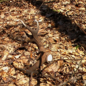 druhý narodeninový :)