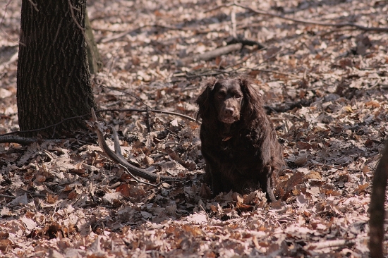 Pipi valcuje 2 :0 pre ňu