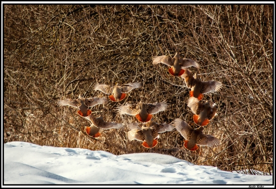let číslo 1 pristáva :)