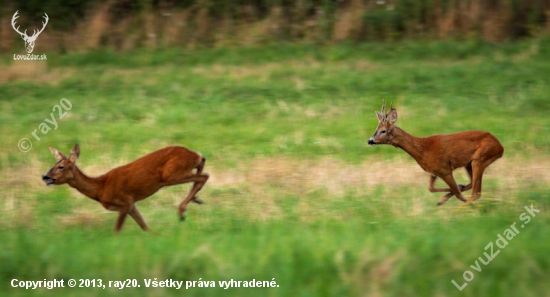 Naháňačka