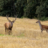 po vyčerpávajúcej noci