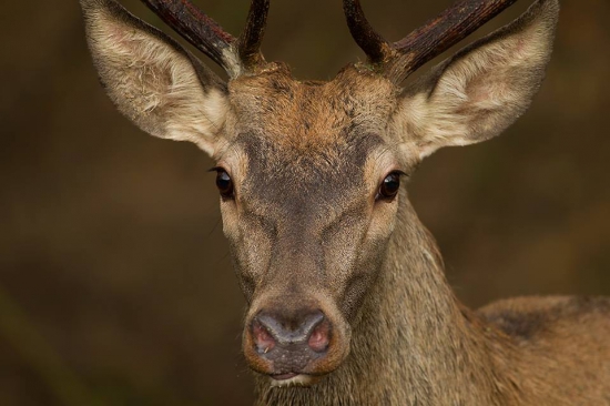stretnutie na chodníku