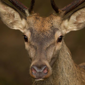 stretnutie na chodníku