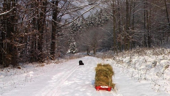 využitie snežného skútra BOBY v reviroch stredneho slovenska