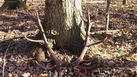 darčeky chodia ešte týždeň po narodeninach :)