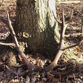 darčeky chodia ešte týždeň po narodeninach :)