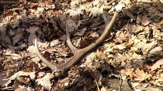 keď neprší aspon kvapká