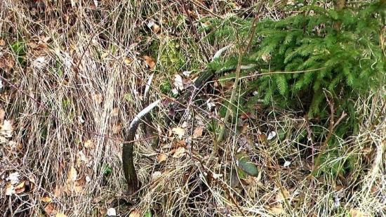 druhý z páru desat metrov vedla