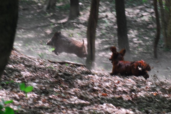 ešte kúsok a mám ťa