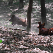 ešte kúsok a mám ťa