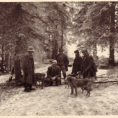 Medzi pohonmi