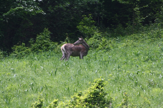 Na poludnie za záhradou