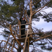stále nič