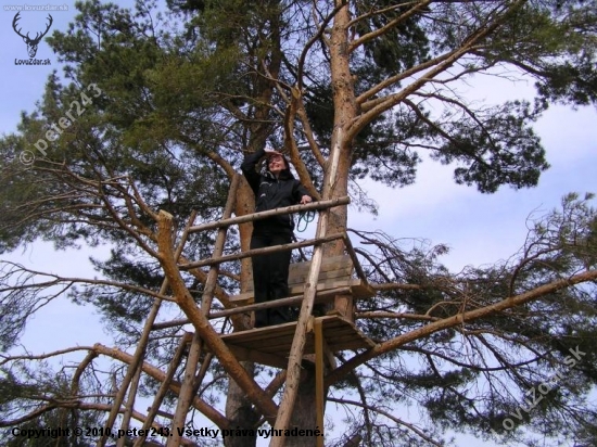 stále nič