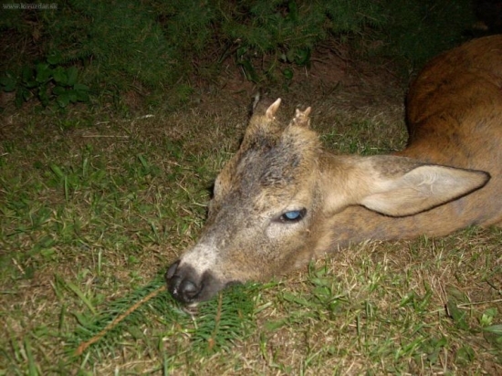 Vzpomínka na rok 2008