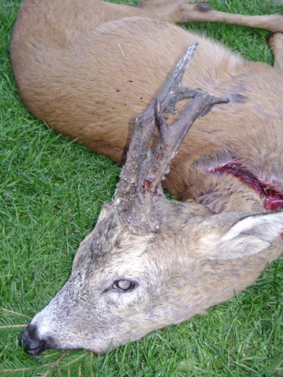 Kamarádův dnešní ráno