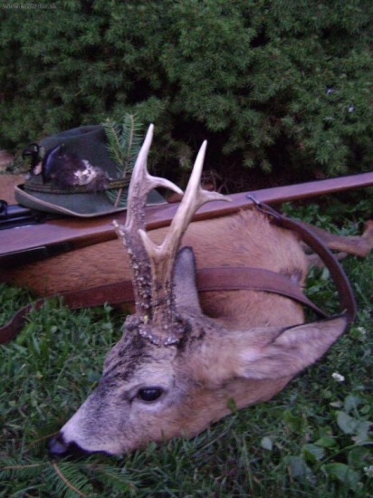 Dnešní večer s kamarádem