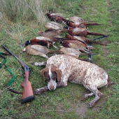 Z jesennej spoločnej poľovačky