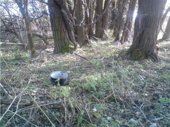 varili prasiatka kašičku?:o)))