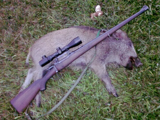 Raňajší úlovok