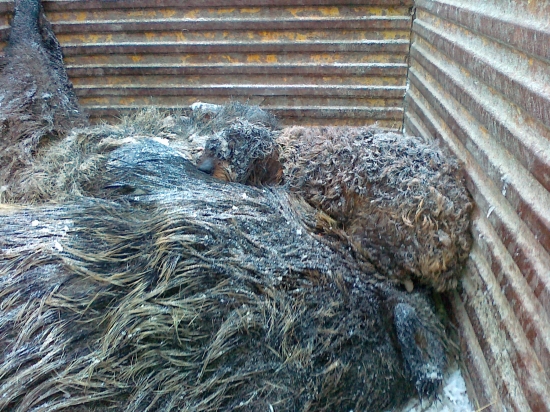 hadajte co je na foto